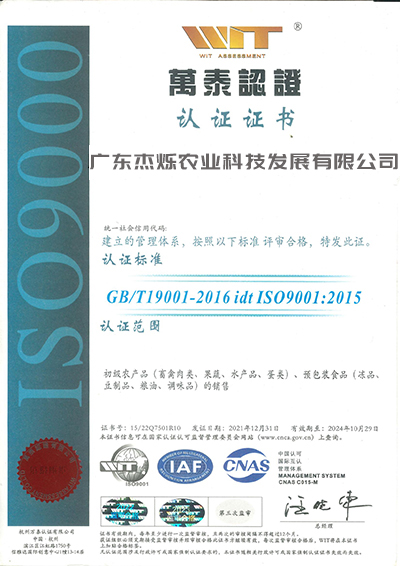 ISO9001质量管理体系认证